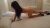 Dikmen Escort Gizem